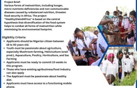 Join the Fight Against Malnutrition: Applications are now open for the HealthyDiets4Africa Program