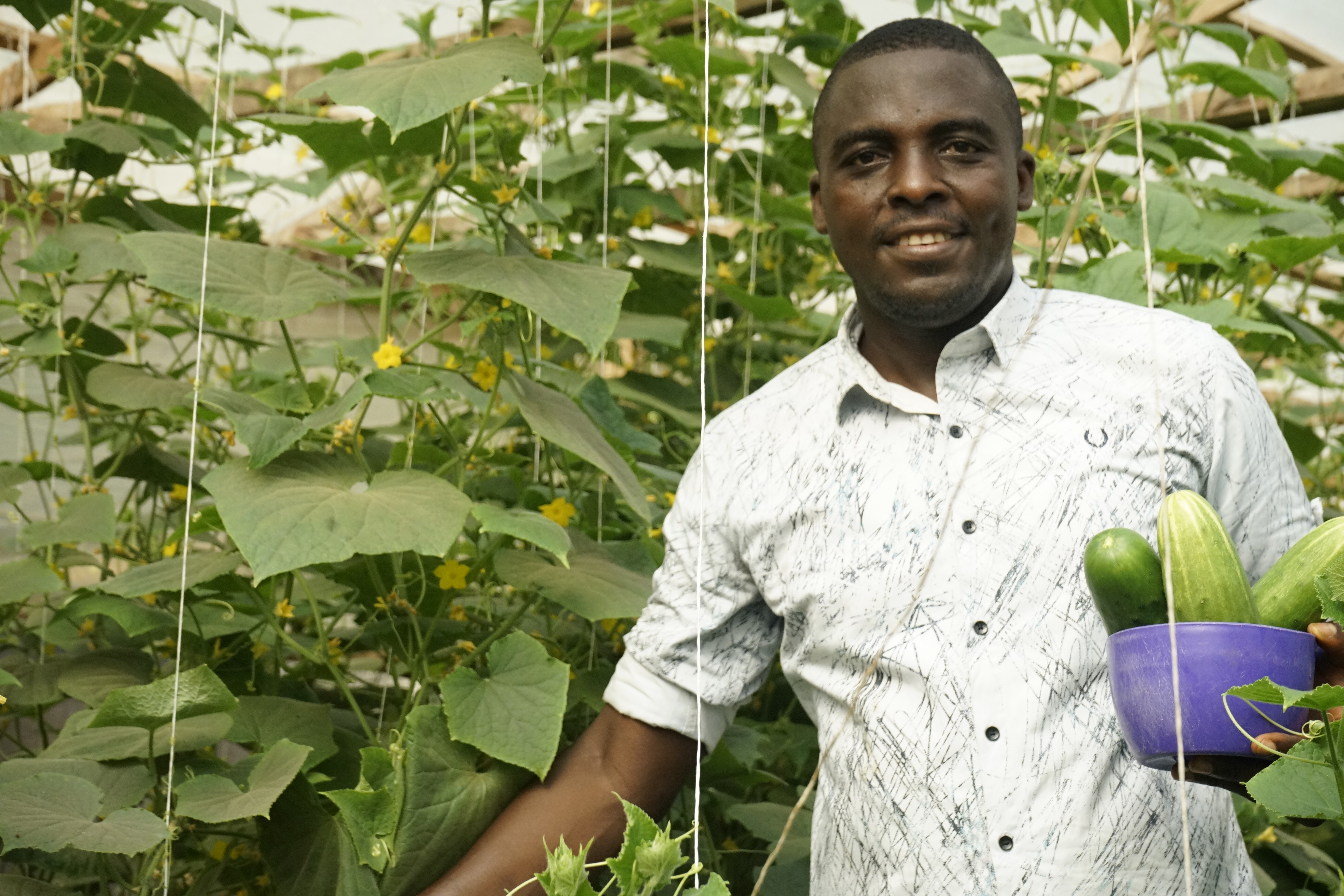 Technical Assistance for Investment Projects in Central Africa (AFTACA)