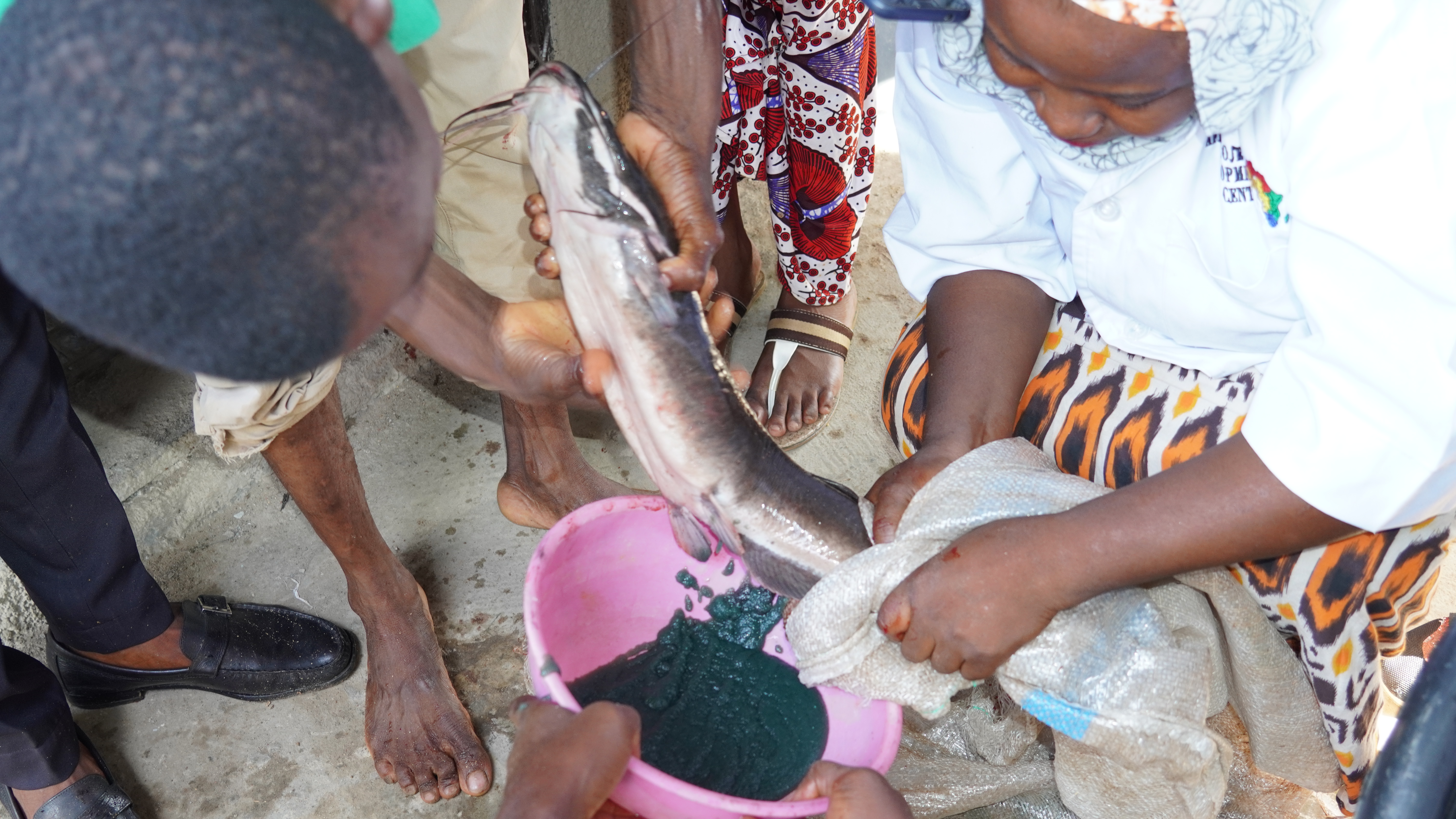 Why Choose APDC for Your Aquaculture Training?