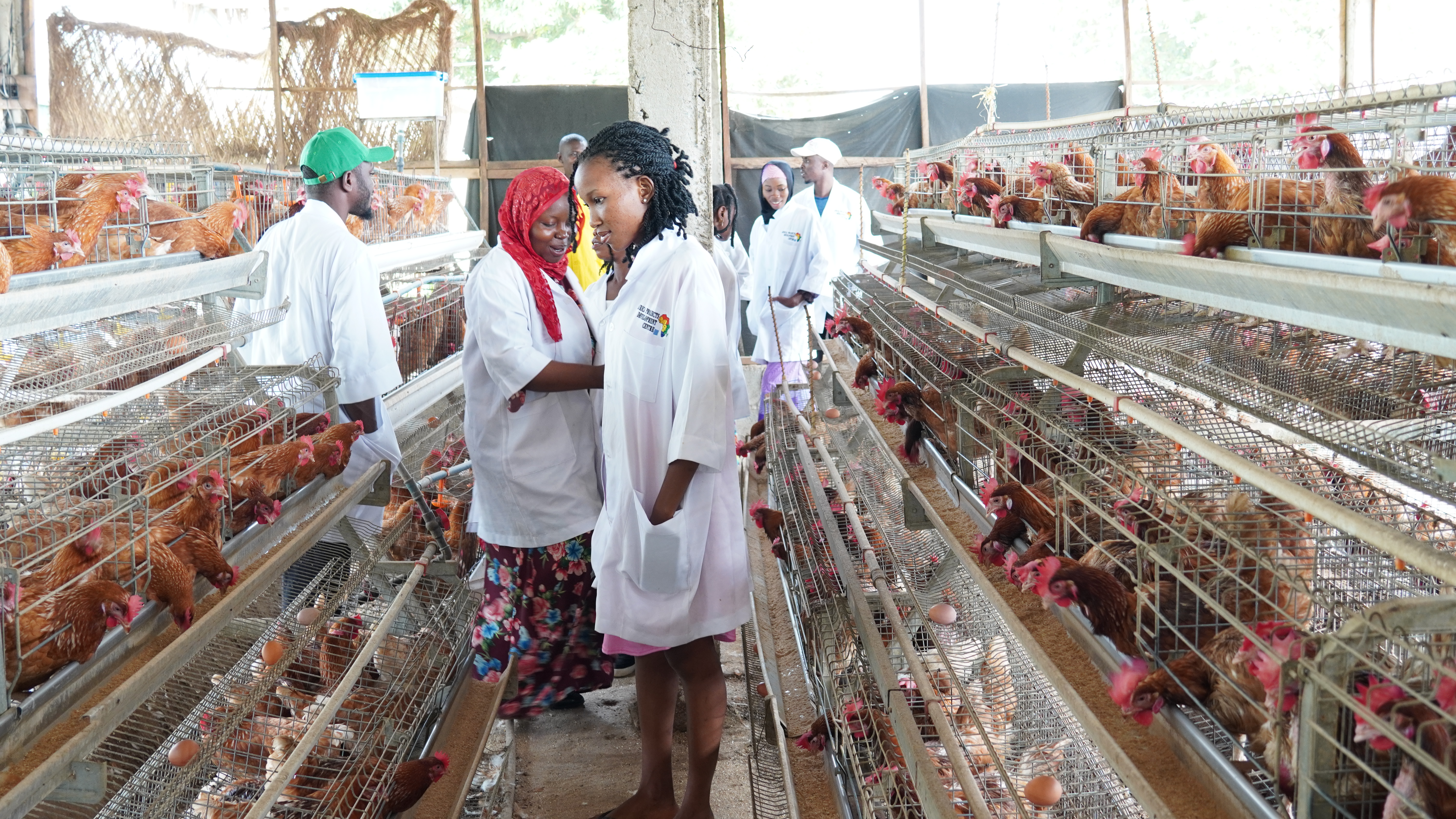 Poultry