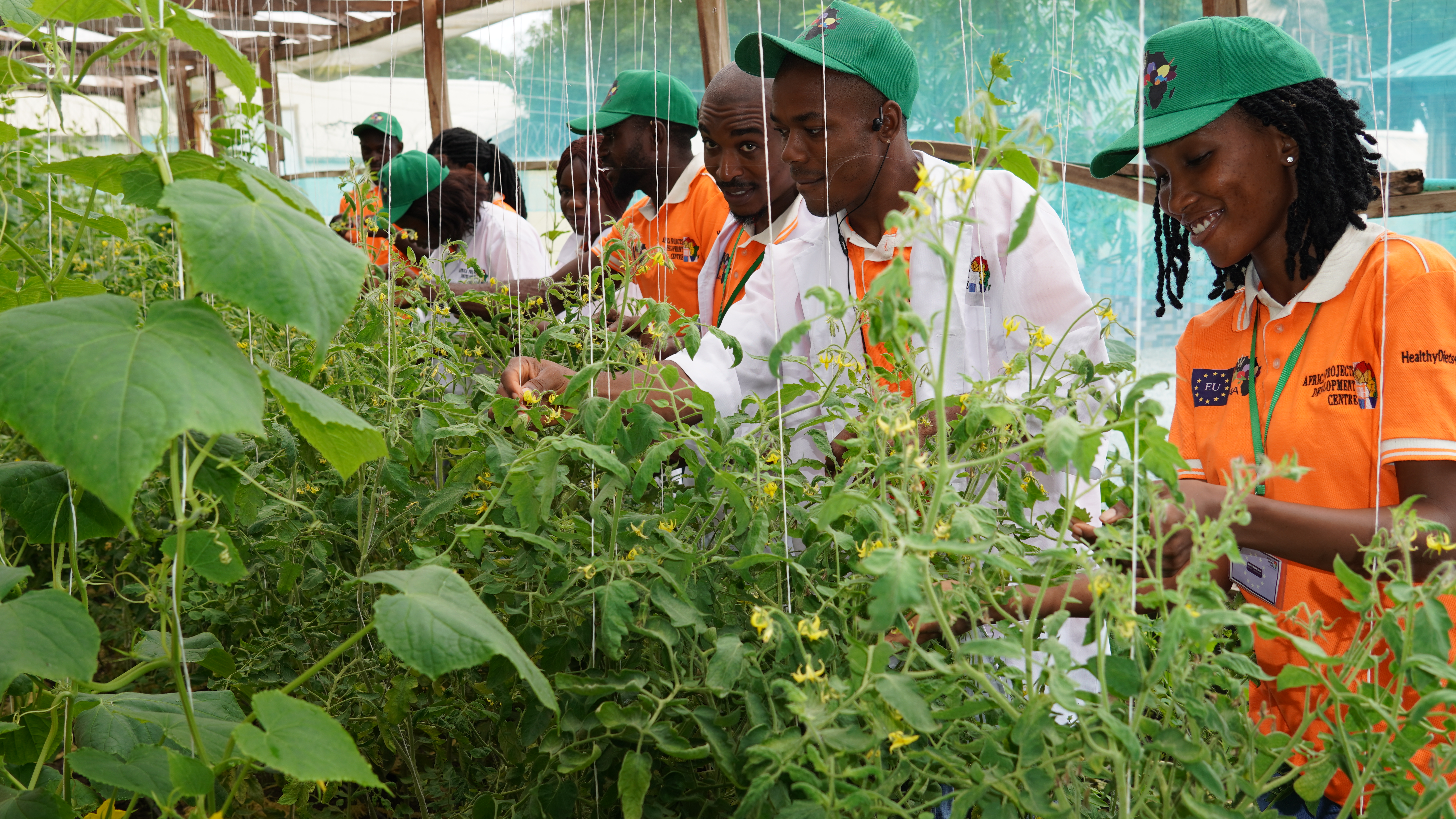 Horticulture
